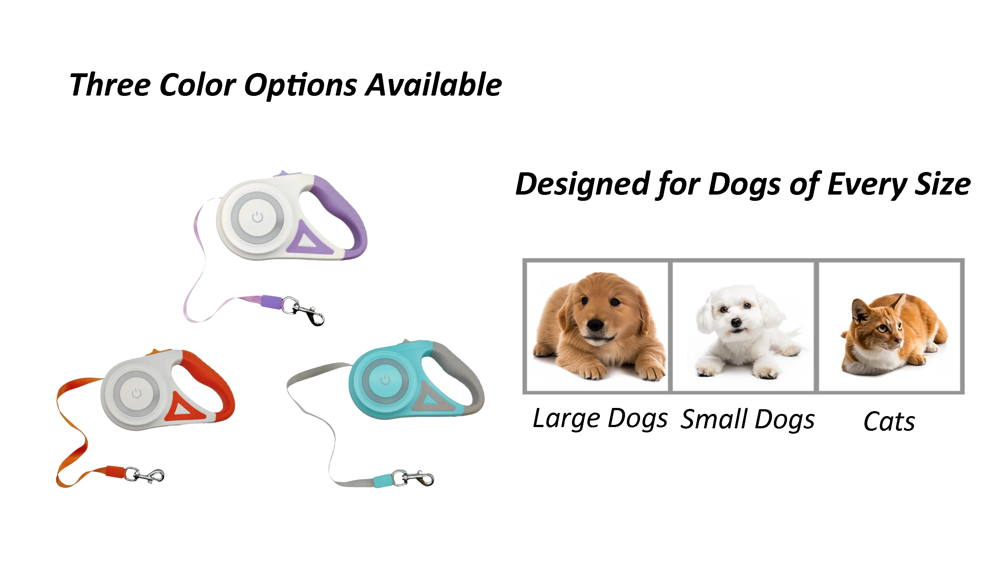 BDI High Quality Pet Traction Rope