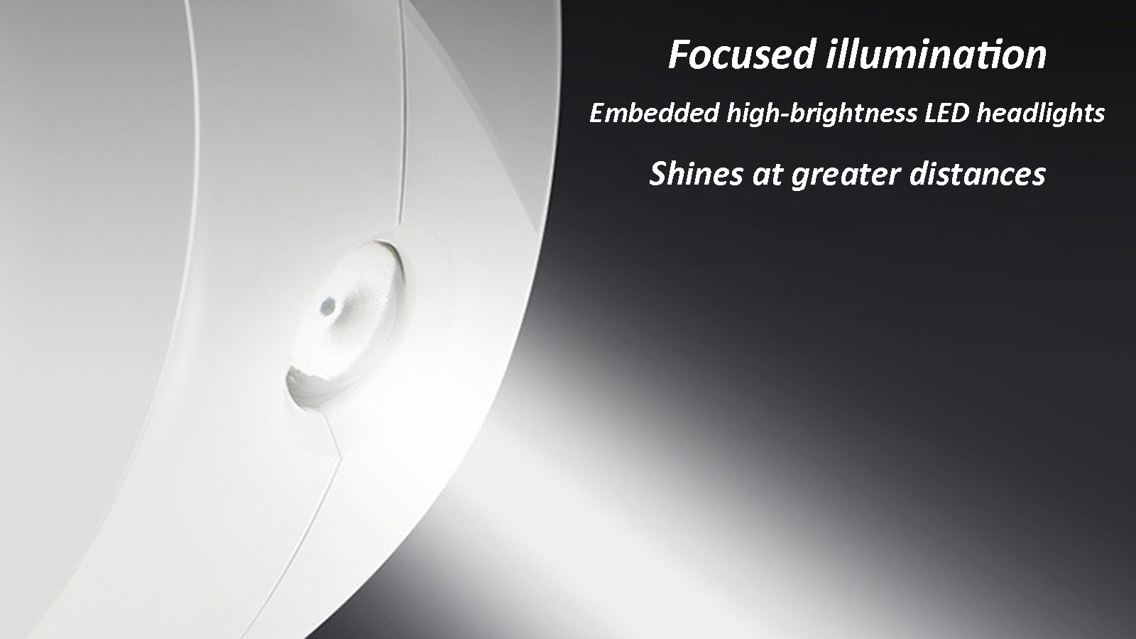 BDI High Quality Pet Traction Rope