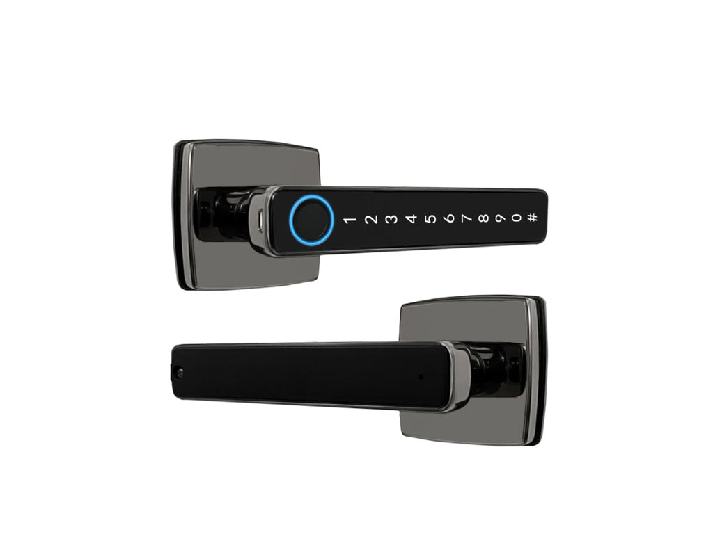 BDI TUYA Smart Door Lock With Full Metal Zinc Alloy