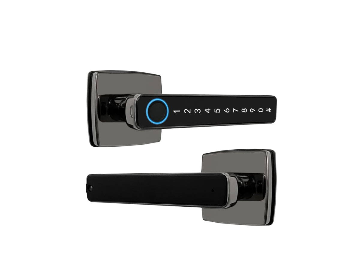 BDI TUYA Smart Door Lock With Full Metal Zinc Alloy