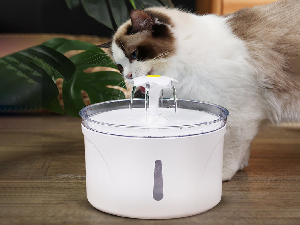 BDI Pet Water Dispenser