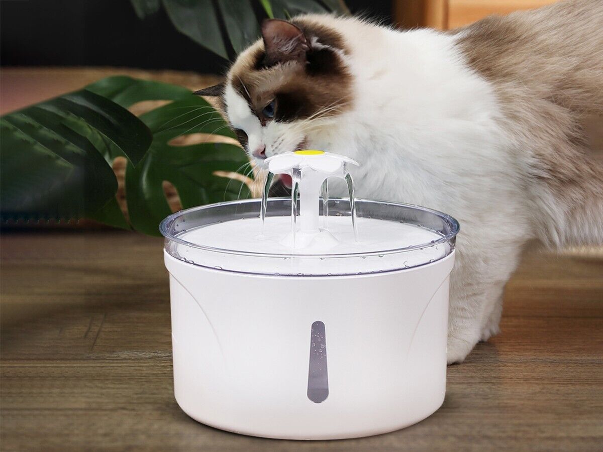 LED USB Automatic Electric Pet Water Fountain Dog/Cat Drinking Dispenser/filter