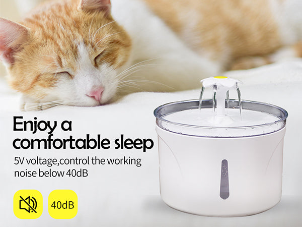 BDI Pet Water Dispenser