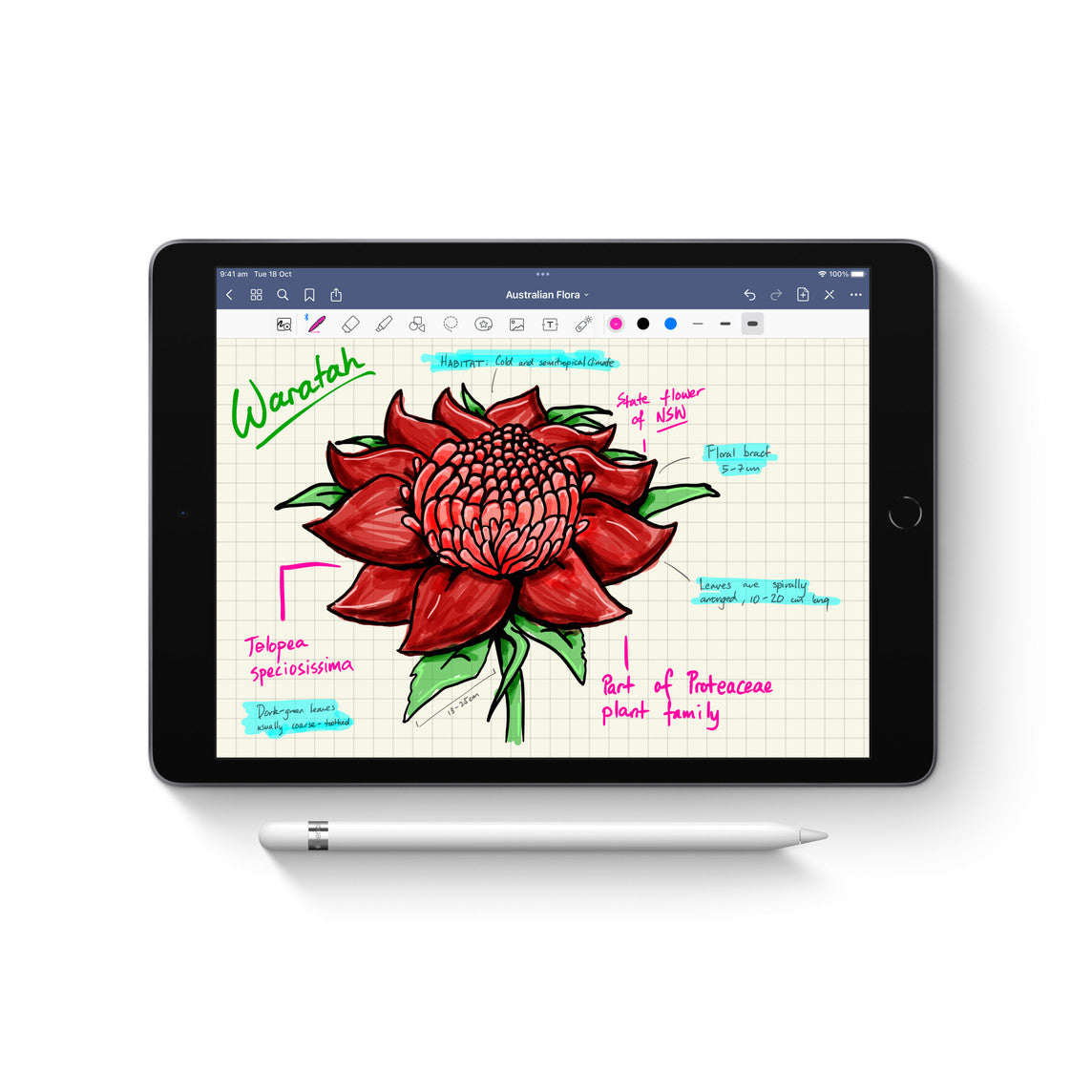 Pencil For Apple ipad (1st generation),Precision Stylus for iPad with Lightning Connector, Bluetooth